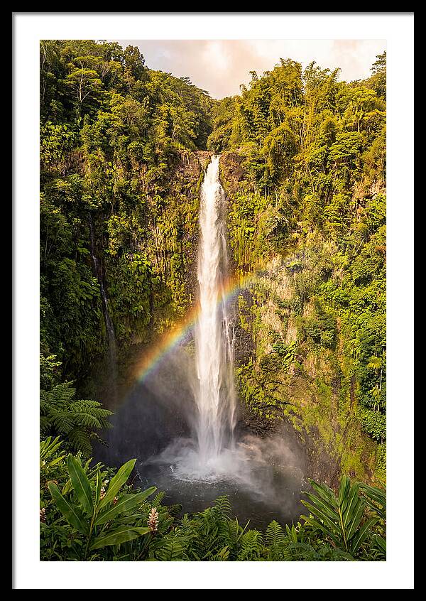 Akaka Falls At Golden Hour