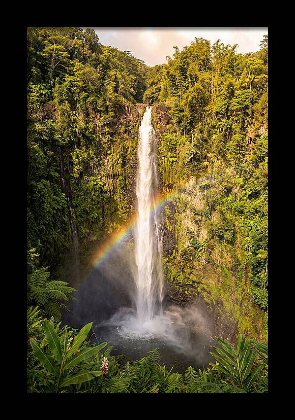 Akaka Falls At Golden Hour