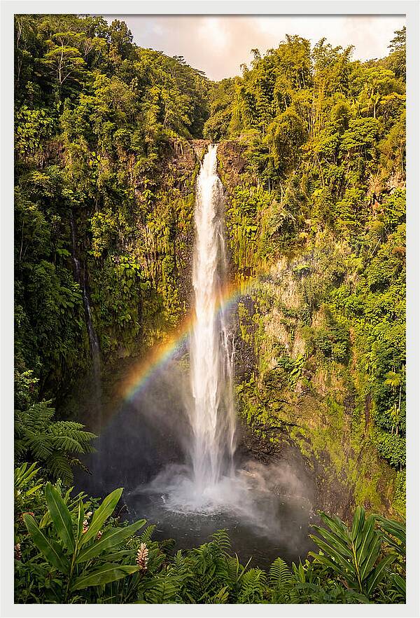 Akaka Falls At Golden Hour