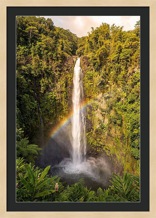 Akaka Falls At Golden Hour