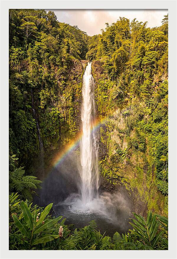 Akaka Falls At Golden Hour