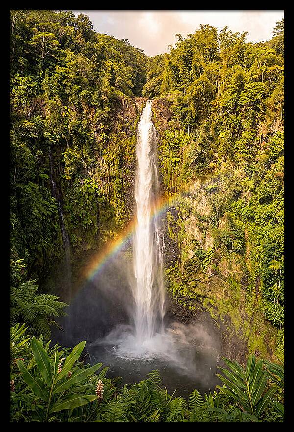 Akaka Falls At Golden Hour