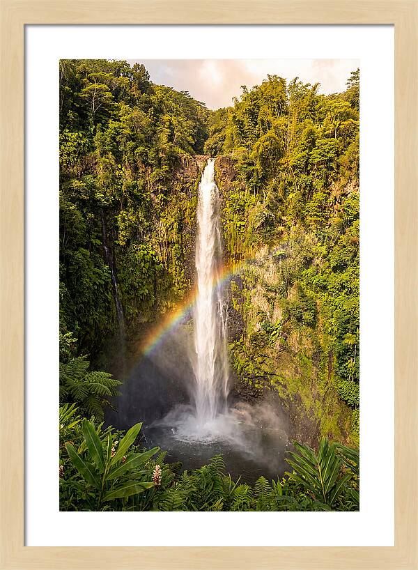 Akaka Falls At Golden Hour