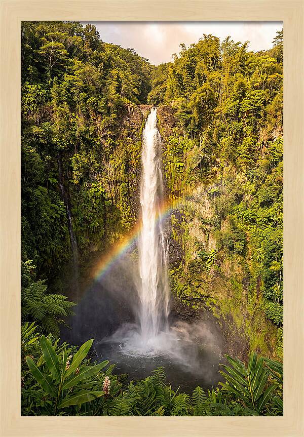 Akaka Falls At Golden Hour