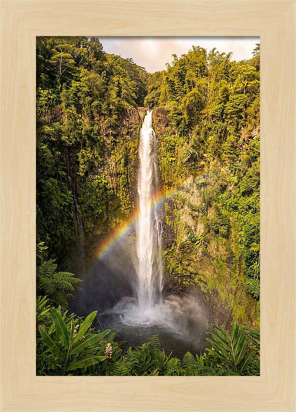 Akaka Falls At Golden Hour