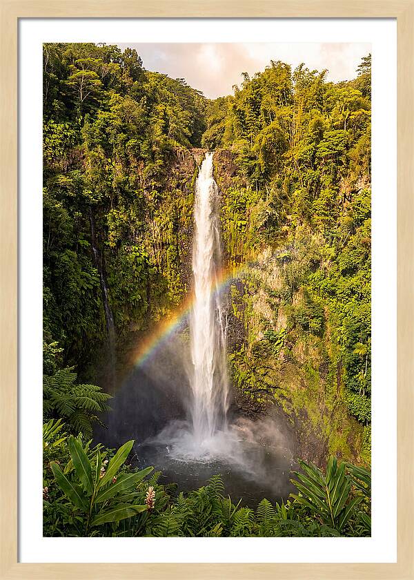 Akaka Falls At Golden Hour