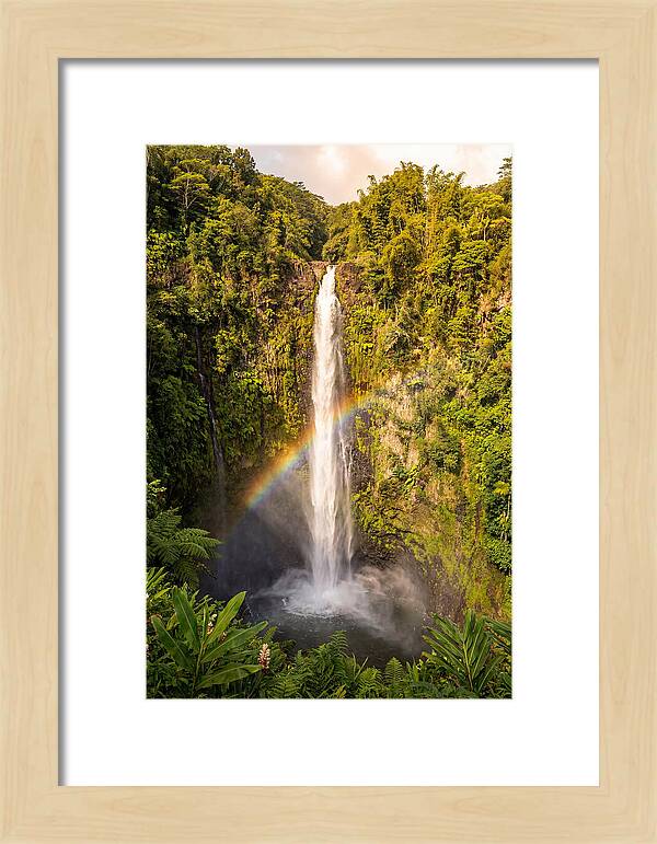 Akaka Falls At Golden Hour