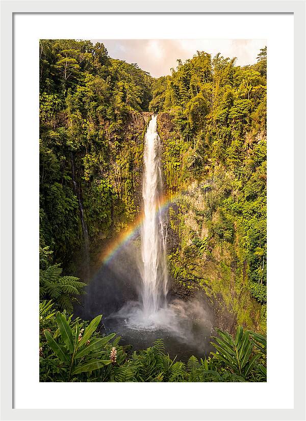 Akaka Falls At Golden Hour