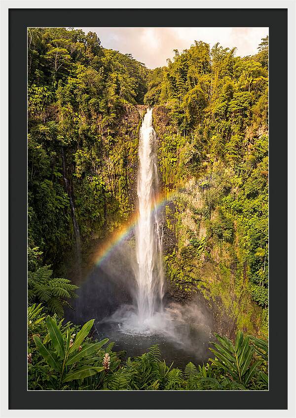 Akaka Falls At Golden Hour