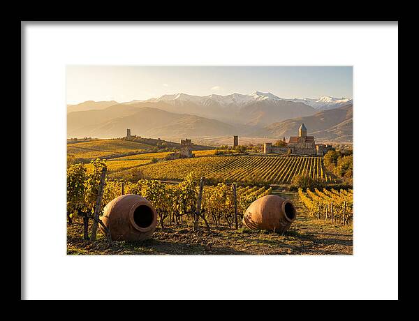 Alazani Valley In Autumn Light