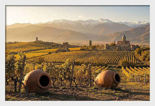 Alazani Valley In Autumn Light