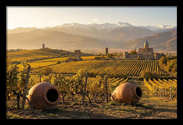 Alazani Valley In Autumn Light