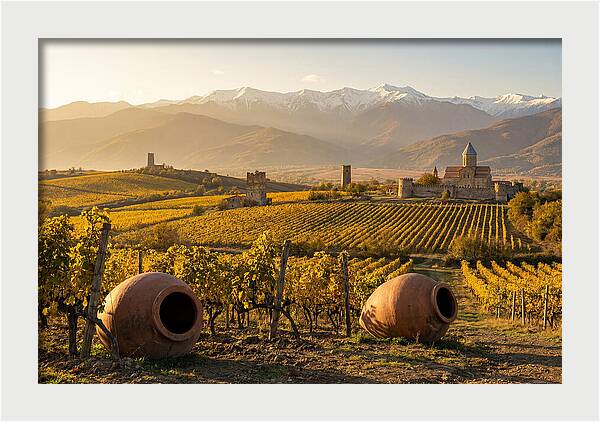 Alazani Valley In Autumn Light