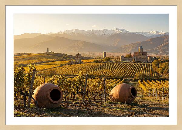 Alazani Valley In Autumn Light
