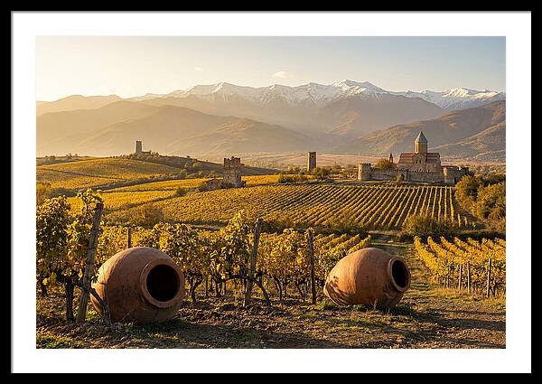 Alazani Valley In Autumn Light