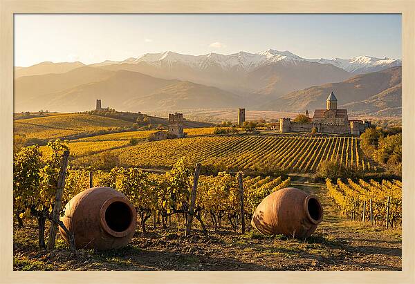 Alazani Valley In Autumn Light