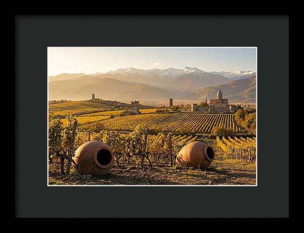 Alazani Valley In Autumn Light