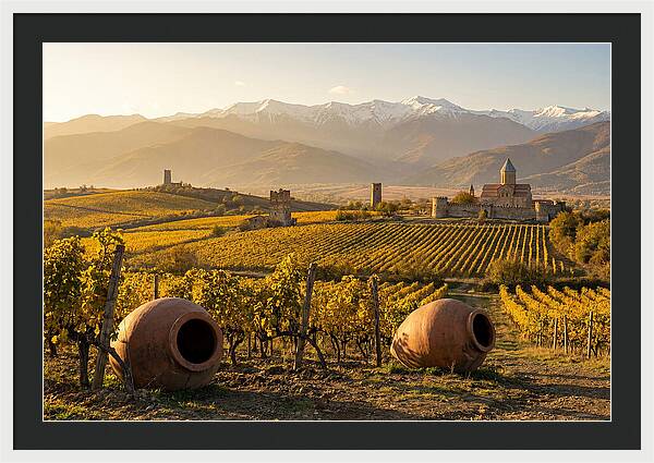 Alazani Valley In Autumn Light