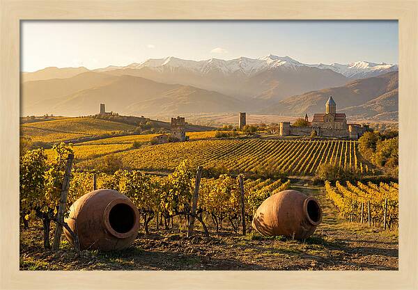 Alazani Valley In Autumn Light