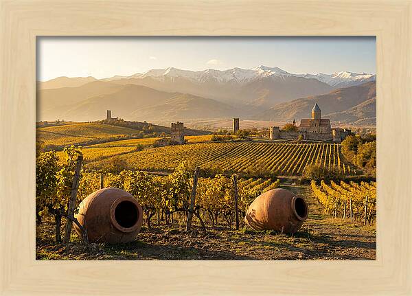 Alazani Valley In Autumn Light