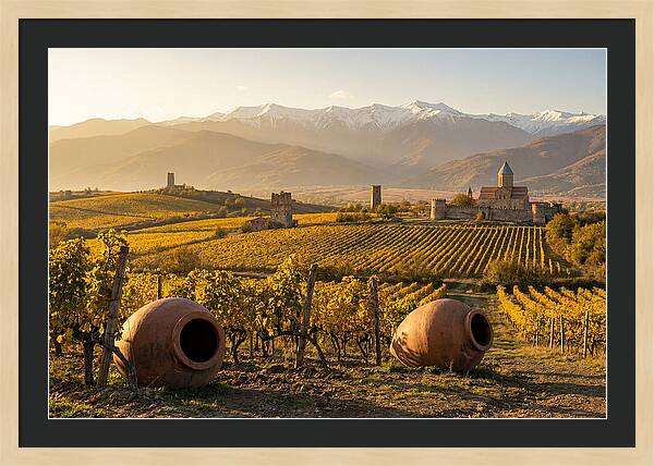 Alazani Valley In Autumn Light