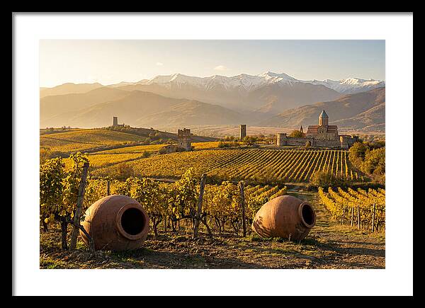 Alazani Valley In Autumn Light