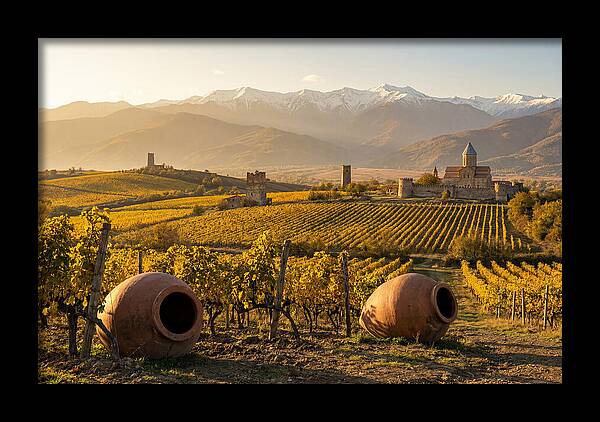Alazani Valley In Autumn Light