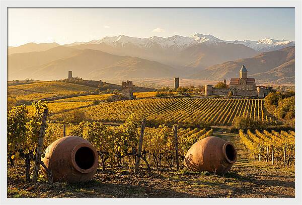Alazani Valley In Autumn Light