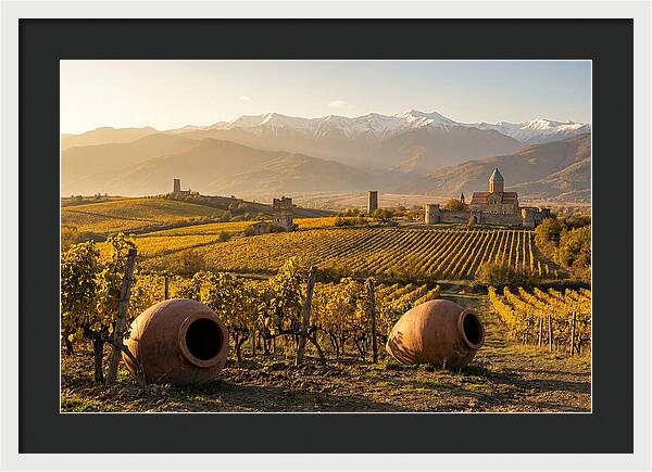 Alazani Valley In Autumn Light
