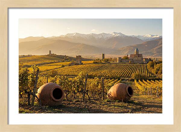Alazani Valley In Autumn Light