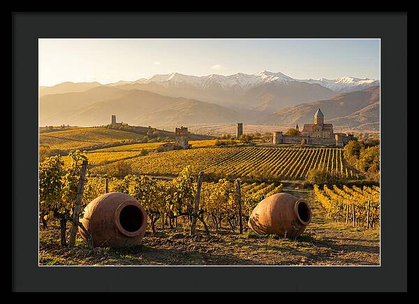 Alazani Valley In Autumn Light