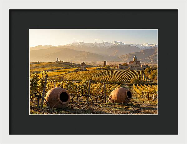 Alazani Valley In Autumn Light