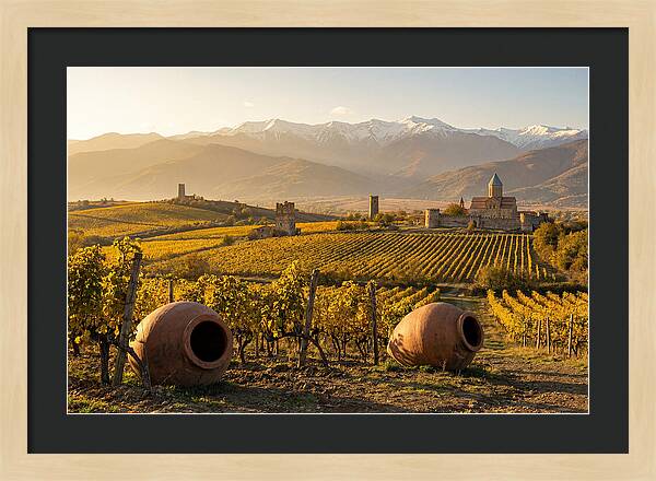 Alazani Valley In Autumn Light