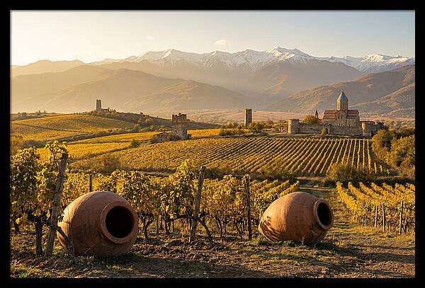 Alazani Valley In Autumn Light