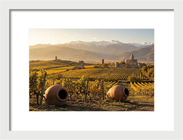 Alazani Valley In Autumn Light