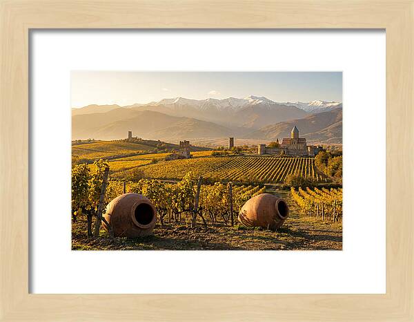 Alazani Valley In Autumn Light