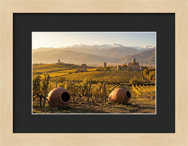Alazani Valley In Autumn Light
