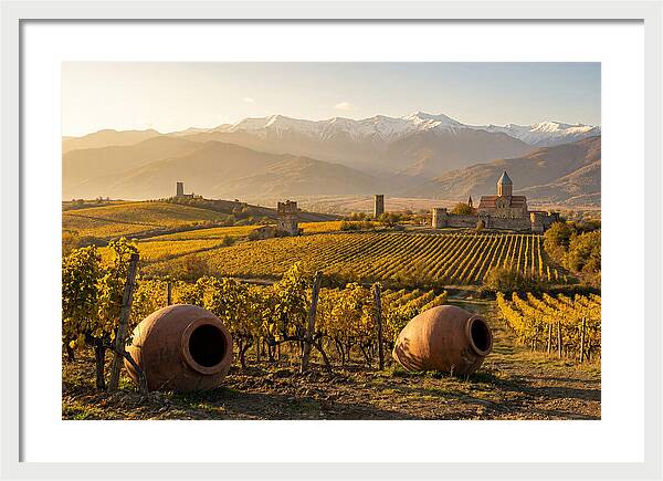 Alazani Valley In Autumn Light