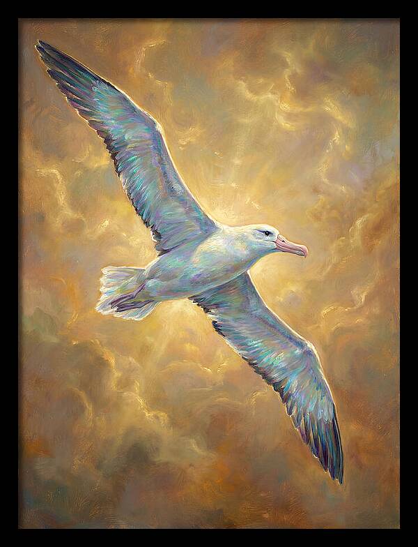Albatross In Flight