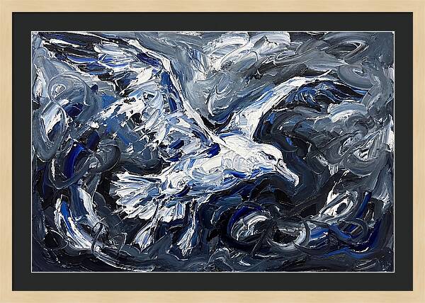 Albatross In Stormy Skies