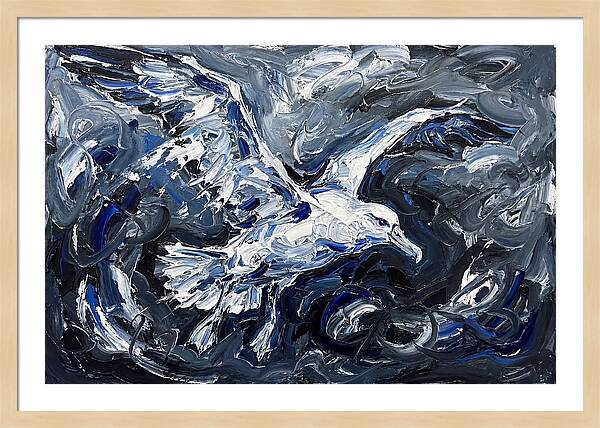 Albatross In Stormy Skies
