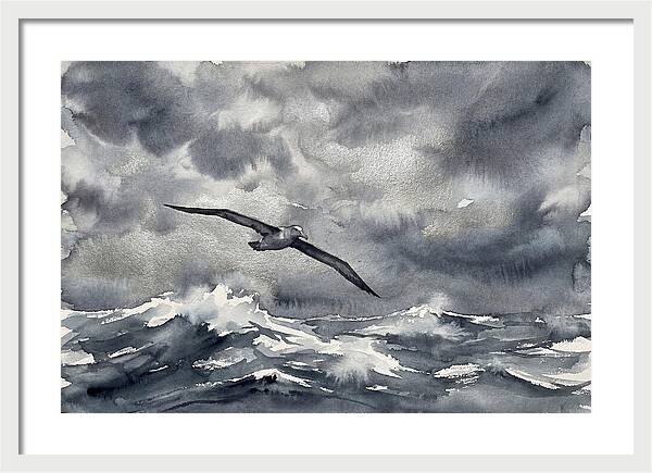 Albatross Over Stormy Seas
