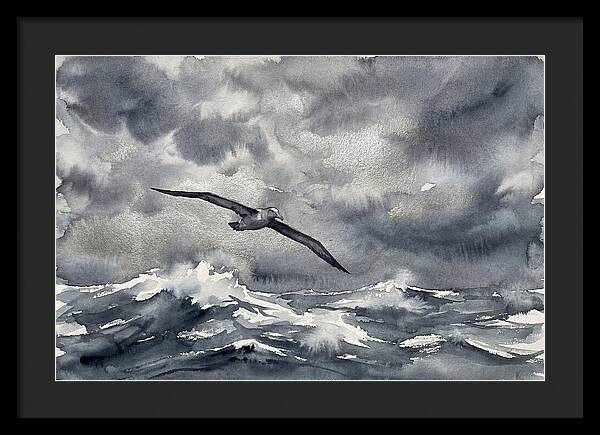 Albatross Over Stormy Seas