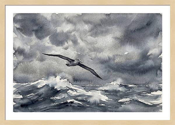 Albatross Over Stormy Seas