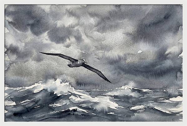 Albatross Over Stormy Seas