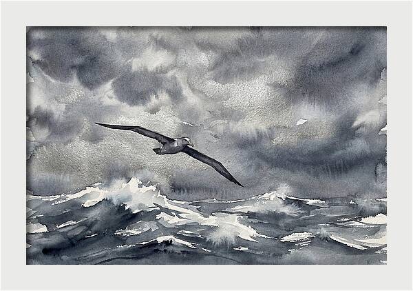 Albatross Over Stormy Seas
