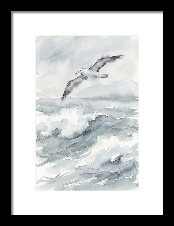 Albatross Soaring Over Waves