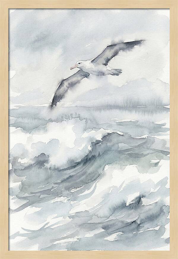 Albatross Soaring Over Waves