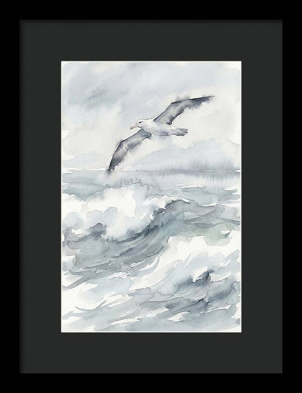 Albatross Soaring Over Waves