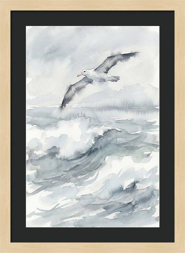 Albatross Soaring Over Waves